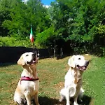 Lägenhet Il Vecchio Fienile Millesimo